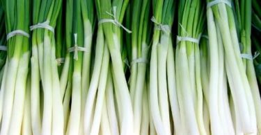 know about green onion health benefits in hindi, हरे प्याज खाने के फायदे दिल, ब्लडप्रेशर, हड्डियों, सर्दी और फ्लू, डायबिटीज के लिए.
