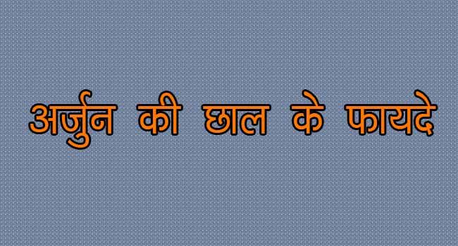 Arjun ki chaal benefits in hindi, अर्जुन की छाल के फायदे यह फायदा करता है हड्डी टूट जाने पर, काले बालों के लिए, बीपी, मुंह के छाले, बुखार और जल जाने पर।