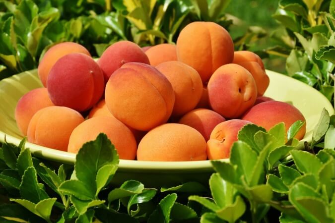 जाने आडू खाने के फायदे सेहत, हड्डियों, इम्यून सिस्टम और पेट की समस्या के लिए, aadu or peach health benefits in hindi and right time to eat it.