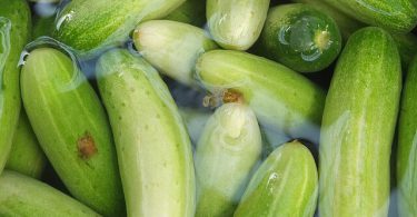 विस्तार में जाने आंखों पर खीरा लगाने के फायदे क्यूंकि ये लाभ करता है थकान, झुर्रियां, रौशनी बढ़ाने आदि में, Cucumber benefits for eyes in hindi.