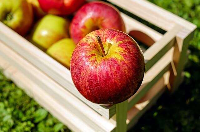 स्मृति और मस्तिष्क की रक्षा करने में मदद करने के अलावा सेब कई तरह के कैंसर को खत्म करने का काम करता है