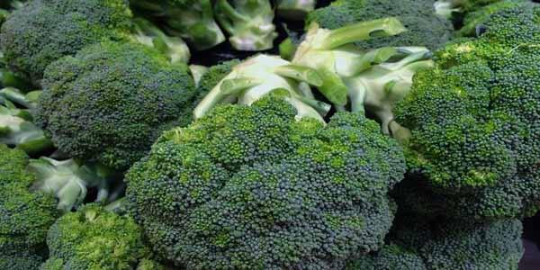 what to eat broccoli in migraine