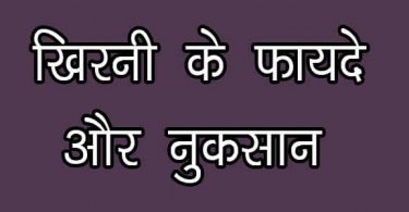 खिरनी के फायदे और नुकसान हिंदी में आपकी सेहत के लिए क्यूंकि इसमें विटामिन आदि होते हैं, jane khirni ke fayde aur nuksan in hindi.