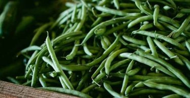 ग्रीन बीन्स के फायदे. green beans health benefits in hindi.