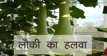 लौकी का हलवा बनाने की विधि, रेसिपी और सामग्री, lauki ka halwa bnanae ke vidhi recipe step by step jane hindi me