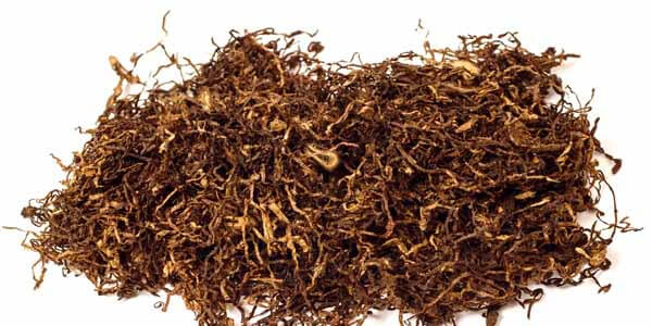 तंबाकू छोड़ने के घरेलू उपाय और नुस्खे क्यूंकि यह कैंसर जैसे गंभीर बीमारी को जनम देता है, tambaku chodne ke gharelu upay aur nuskhe hindi me
