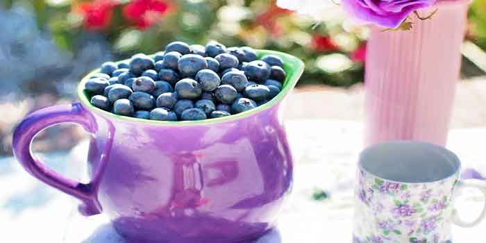 स्वास्थ्य के लिए खाएं ब्लूबेरी - Fit rehne ke liye kya khayen