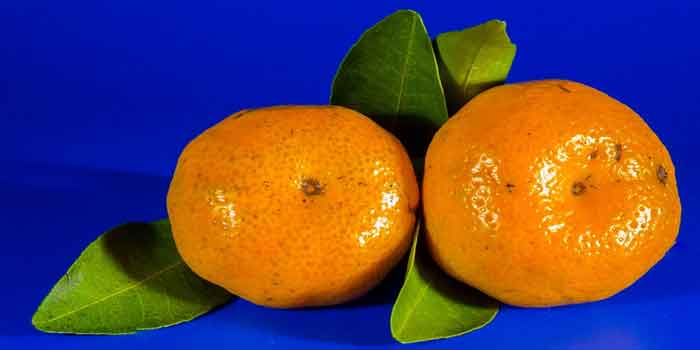 ब्लड सर्कुलेशन बढ़ाने के संतरा खाएं