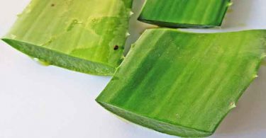 एलेवेरा जेल क्या है, कैसे बनाएं और इसके लाभ आपकी त्वचा और स्वास्थ के लिए, how to make aloe vera gel at home and its benefits in hindi