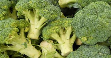 ब्रोकली की सब्जी बनाने की विधि और सामग्री जाने हिंदी में ताकि आप बना सकें यह सब्जी घर पर, broccoli recipe in hindi for taste and weight loss