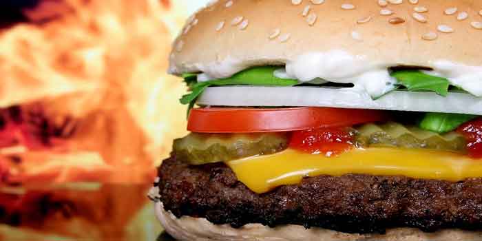 जाने बर्गर खाने के नुकसान सेहत के लिए ताकि आप अपनी स्वस्थ्य को लेकर रहें हमेशा जागरूक, burger side effects for health in hindi