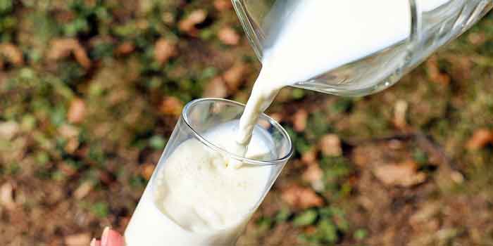 जाने दूध पीने का सही तरीके और जाने दूध के साथ क्या नहीं खाना चाहिए ताकि आप आहार से जुड़े टिप्स जान सकें, what not to eat with milk read in hindi