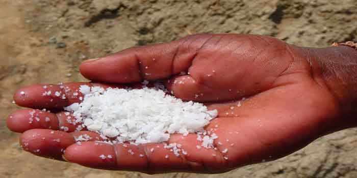 जाने सोडियम के हो सकते हैं सेहत के लिए नुकसान क्यूंकि नमक में सोडियम पाया जाता है, salt sodium ill effects on health in hindi