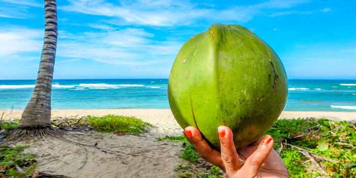 रक्तचाप का प्राकृतिक उपचार है नारियल पानी