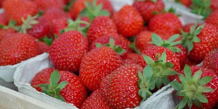 दांतों से पीलापन दूर करे स्ट्रॉबेरी