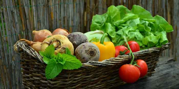 खुद को सेहतमंद रखने के लिए आप जो फल व सब्जियों का सेवन कर रहे हैं क्या उसमें कीटनाशक तो नहीं है, Fruits and vegetables that stick in insecticides.