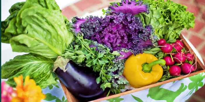 जाने संतुलित आहार से जुड़े कुछ टिप्स वो कौन सी सब्जियां हैं जो आपकी अच्छी सेहत के लिए जरूर खानी चाहिए, balanced diet tips in hindi