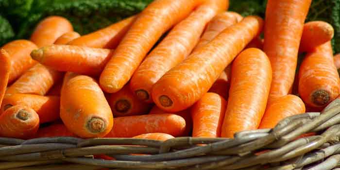 आंखों की रोशनी बढ़ाने के लिए खाएं गाजर 