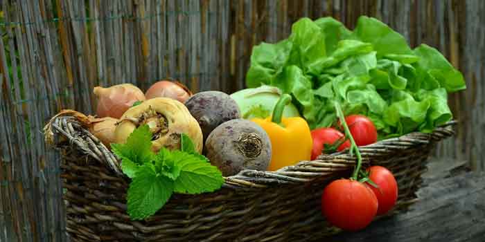 फल और सब्जियों से कुपोषण छुटकारा