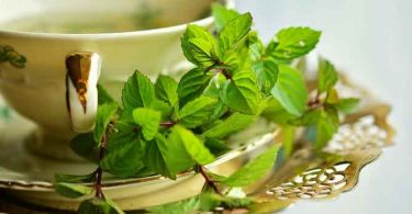 मोटापा कम करने के लिए और खुद को स्वस्थ रखने के लिए आप ग्रीन टी के फायदों से अवगत है, अब इसके फ्लेवर है आइए जानते हैं, Type of green tea.
