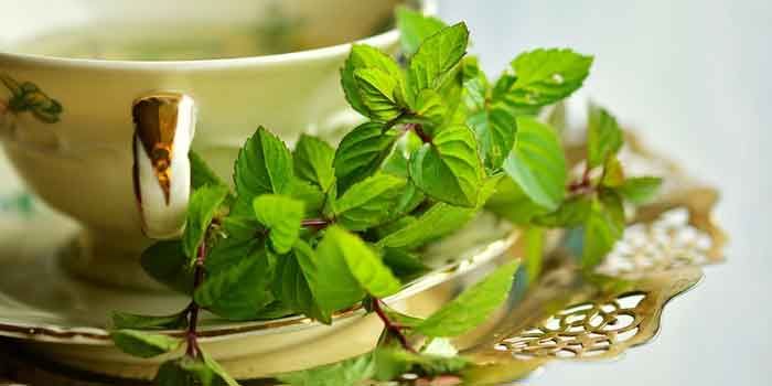 मोटापा कम करने के लिए और खुद को स्वस्थ रखने के लिए आप ग्रीन टी के फायदों से अवगत है, अब इसके फ्लेवर है आइए जानते हैं, Type of green tea.
