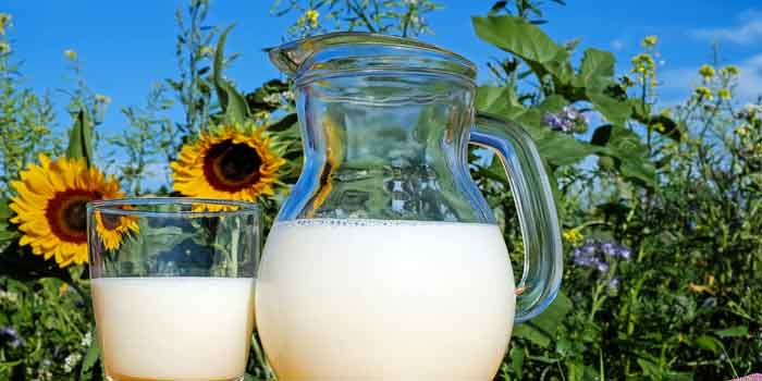 स्किम्ड दूध में कम वसा की मात्रा 