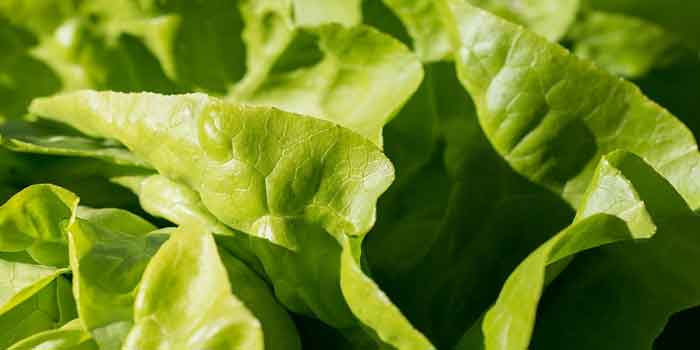 हरी पत्तेदार सब्जियां खाने के फायदे