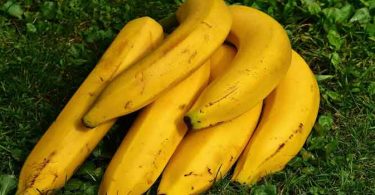 केला खाने का तरीका क्या है और क्या खाली पेट केला खाना चाहिए या नहीं, यदि इसका उत्तर जानना है तो जरूरत है केले के बारे जानने की।