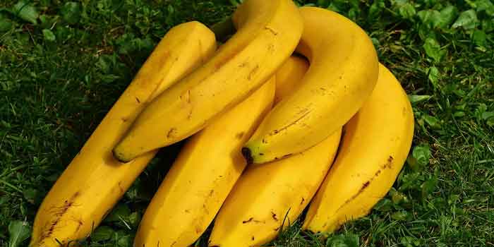 केला खाने का तरीका क्या है और क्या खाली पेट केला खाना चाहिए या नहीं, यदि इसका उत्तर जानना है तो जरूरत है केले के बारे जानने की।