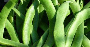 सेम की फली की सब्जी आपने खाई होगी और यह स्वास्थ्य के लिए बहुत ही फायदेमंद होती है, अब आइए सेम की फली के फायदे जानते हैं, Benefit of green beans.
