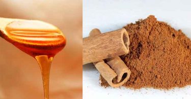 वजन घटाने के लिए हम कई तरह के तरीको को अपनाते हैं। आप शहद और दालचीनी का सेवन कर सकते हैं। benefit of Honey and cinnamon.