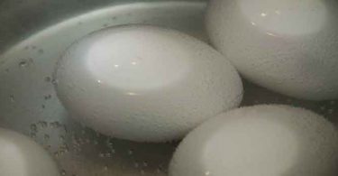 अंडे के सफेद भाग को खाने से मिलते हैं ये फायदे