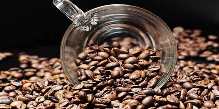 भुनी हुई कॉफी बीन्स में कैफीन की मात्रा होती है कम