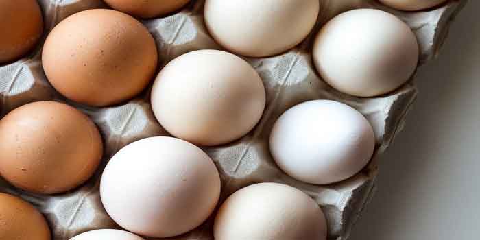 एक दिन में कितना अंडा खाना चाहिए ?