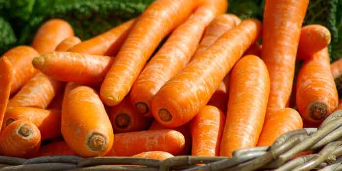 इम्यून सिस्टम का संरक्षक है गाजर 