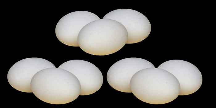 गर्भावस्था में कच्चे अंडे का परहेज 