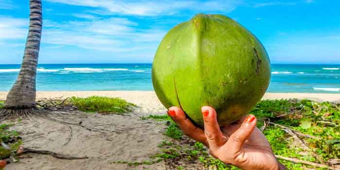 सुबह नारियल पानी पीने के फायदे