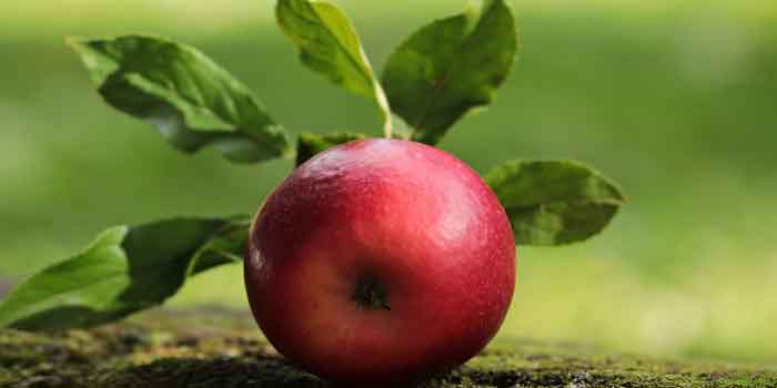 सेब में पोषक तत्व