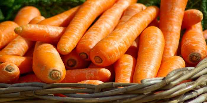 भोजन से पहले गाजर का सेवन