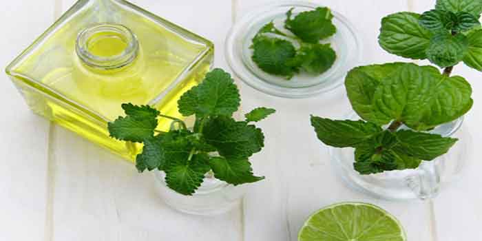 Mint is an Ayurvedic cure for depression
