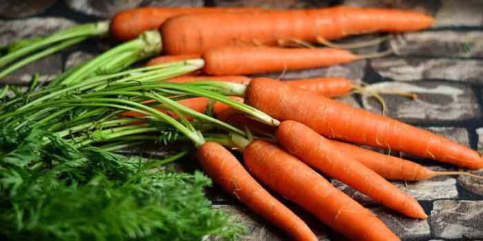 गाजर कब खाना चाहिए