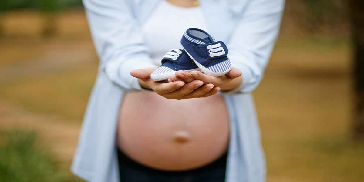 गर्भावस्था का ग्यारहवां सप्ताह - बच्चे के शरीर का विकास