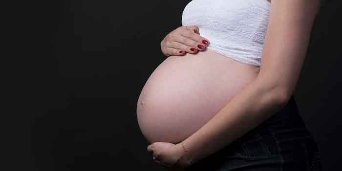 गर्भावस्था के नौवें सप्ताह में बच्चे का विकास
