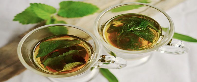नेटल टी के फायदे - Nettle tea benefits in hindi