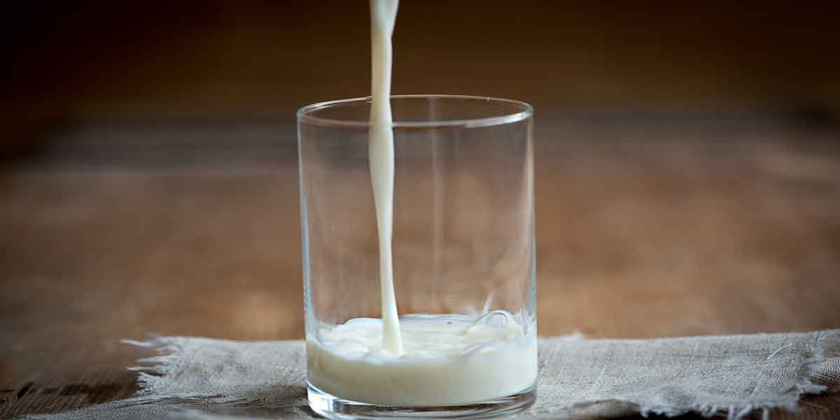 दूध और दूध उत्पाद का सेवन