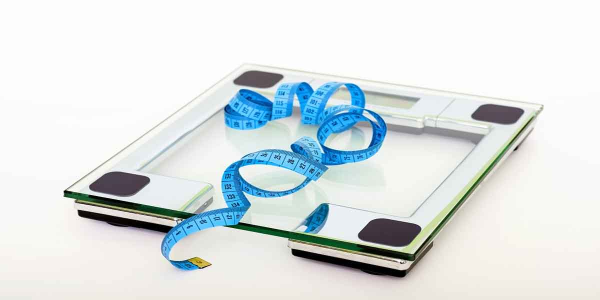 aids in weight loss