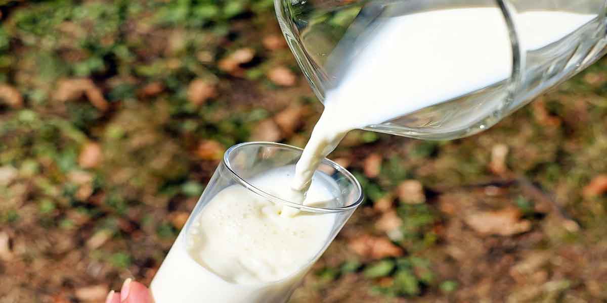 Milk removes blackness of elbow