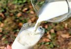 सबसे ज्यादा प्रोटीन किसके दूध में पाया जाता है